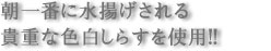 朝一番に水揚げされる貴重な色白しらすを使用