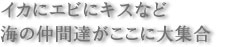 イカにエビにキスなど海の仲間達がここに大集合